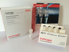 包装重新设计 包装重新设计