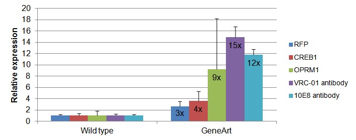 Open Reading Frames Open Reading Frames