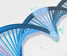 sho_restriction sho_restriction