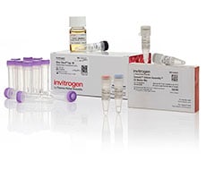 GeneArt Gibson Assembly组装克隆 GeneArt Gibson Assembly组装克隆