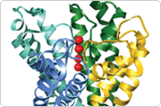 Industrial Enzymes Industrial Enzymes
