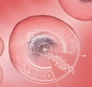GeneArt Precision TALs Stable Cell Line Service GeneArt Precision TALs Stable Cell Line Service