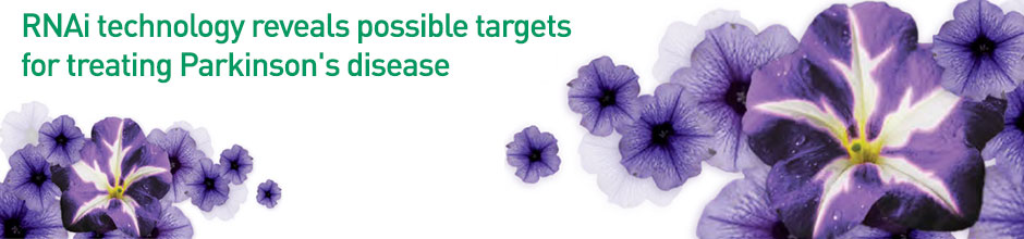 RNAi Screening Webinar Questions and Answers RNAi Screening Webinar Questions and Answers
