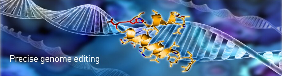 precise genome editing precise genome editing