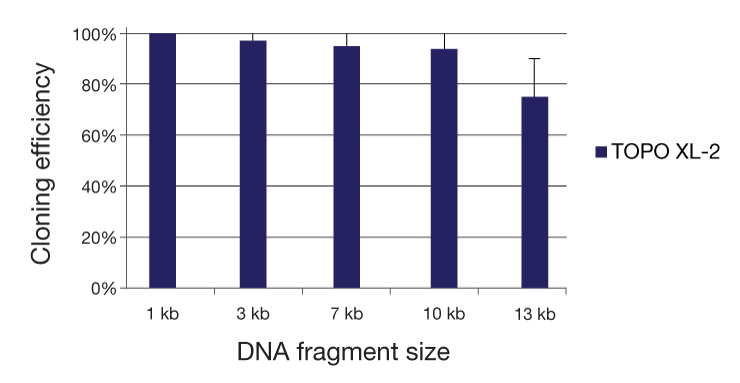 The TOPO XL-2 Complete PCR Cloning Kit has superior cloning efficiency for a broad range of different sizes of targets. The TOPO XL-2 Complete PCR Cloning Kit has superior cloning efficiency for a broad range of different sizes of targets.