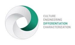 differentiation differentiation