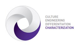 characterization characterization