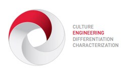 engineering engineering