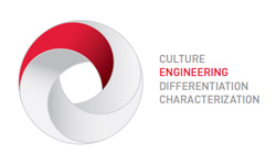 engineering engineering