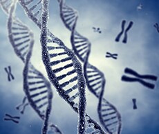 extracted genomic DNA extracted genomic DNA