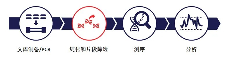 NGS文库制备工作流程 NGS文库制备工作流程