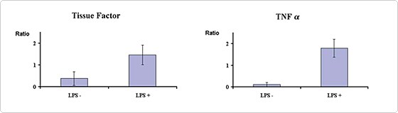 LPS-induced effect on Tissue Factor and TNFa-mRNA in human monocytes isolated from whole blood and expressed as ratios to b-actin LPS-induced effect on Tissue Factor and TNFa-mRNA in human monocytes isolated from whole blood and expressed as ratios to b-actin