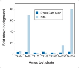 SYBR Safe DNA 凝胶染料和溴化乙锭(EB)的致突变性试验结果。 SYBR Safe DNA 凝胶染料和溴化乙锭(EB)的致突变性试验结果。