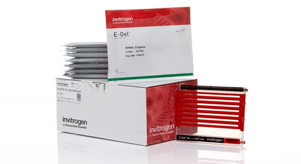 E-Gel琼脂糖预制胶含 SYBR Safe凝胶染料 E-Gel琼脂糖预制胶含 SYBR Safe凝胶染料