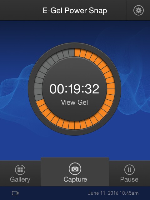 View gel screen View gel screen