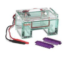 Owl Horizontal Gel Electrophoresis Systems Owl Horizontal Gel Electrophoresis Systems