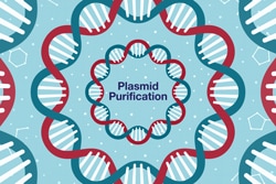 实现理想结果 实现理想结果