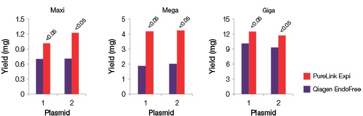 与竞争对手的试剂盒相比,使用 PureLink Expi 试剂盒可获得高产量的无内毒素高级转染级质粒 DNA。 与竞争对手的试剂盒相比,使用 PureLink Expi 试剂盒可获得高产量无内毒素高级转染级质粒 DNA。