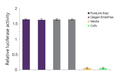 质粒 DNA 适用于敏感细胞系的转染 质粒 DNA 适用于敏感细胞系的转染
