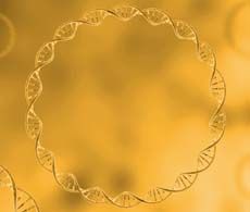 PureLink HiPure Expi 质粒试剂盒 | Thermo Fisher Scientific - CN