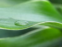 RNA Sequencing Sample Preparation RNA Sequencing Sample Preparation