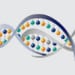 RNA & Transcriptome Sequencing RNA & Transcriptome Sequencing