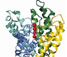 RNA Structure/Function Studies RNA Structure/Function Studies