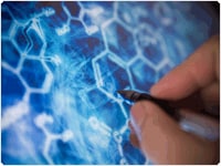 Transcriptome Analysis Transcriptome Analysis