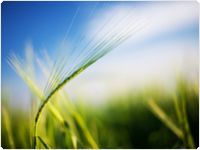 showcase.par.60444.image.0.0.1 showcase.par.60444.image.0.0.1