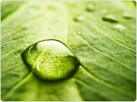 showcase.par.82472.image.0.0.1 showcase.par.82472.image.0.0.1