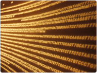 showcase.par.74233.image.0.0.1 showcase.par.74233.image.0.0.1