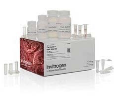 PureLink RNA 小量提取试剂盒 PureLink RNA小提试剂盒带红白包装盒,内含试剂和试管