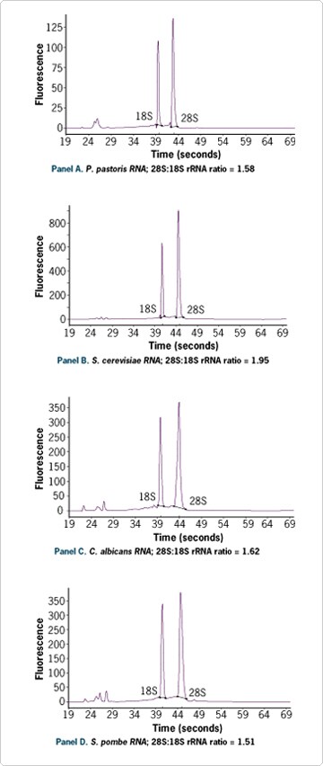 RiboPure yeast kit bioanalyzer results Bioanalyzer results showing ratio of 28S:18S rRNA for four yeast sample RNA extracted using RiboPure yeast kit