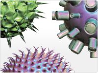 PureLink® 病毒 RNA/DNA 小量提取试剂盒 PureLink® 病毒 RNA/DNA 小量提取试剂盒