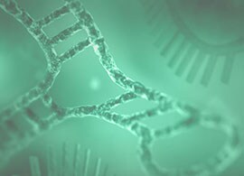 miRNA 模拟物和抑制剂 miRNA 模拟物和抑制剂