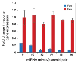 mirVana miRNA 模拟物具有高特异性 mirVana miRNA 模拟物具有高特异性