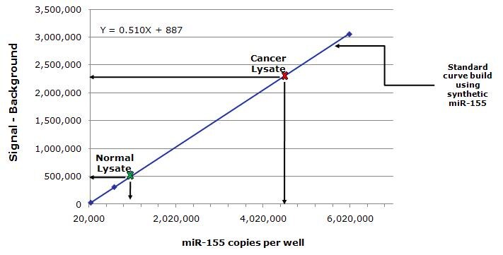 miRNA expression analysis in cancer and normal tissue sections miRNA expression analysis in cancer and normal tissue sections