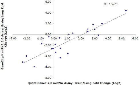 QuantiGene miRNA Assay and GeneChip QuantiGene miRNA Assay and GeneChip