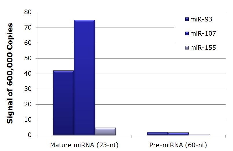 miRNA probe sets specificity miRNA probe sets specificity