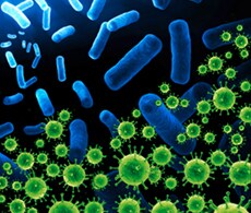 微生物基因组学传染性疾病 微生物基因组学传染性疾病