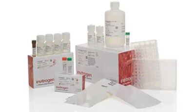 Invitrogen Immune Response 80-Plex Human QuantiGene Plex Panel Product image of Invitrogen Immune Response 80-Plex Human QuantiGene Plex Panel