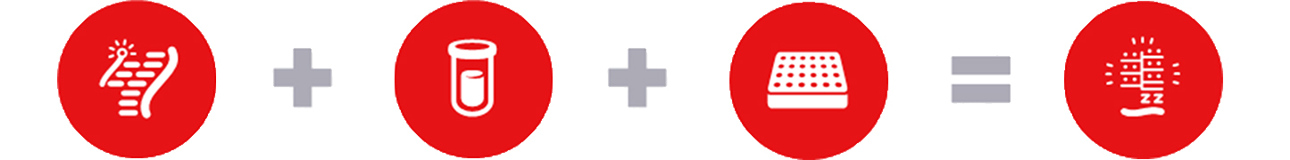 QuantiGene Plex Gene Expression Assay essential steps QuantiGene Plex Gene Expression Assay workflow