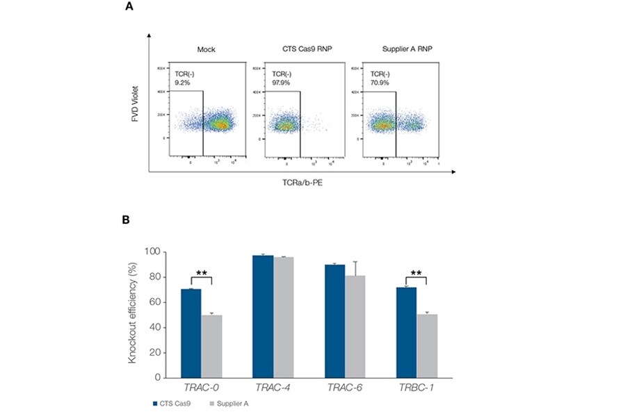 Graphs showing T cell receptor knock-out efficiency A flow cytometry chart shown above a bar graph, both demonstrating that Gibco CTS TrueCut Cas9 Protein achieved greater TCR knockout compared to competitor’s GMP Cas9