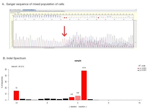 通过 Sanger 测序测定 CRISPR 编辑效率 :将 Sanger 测序数据轨迹与用于测定 CRISPR 编辑效率的插入缺失谱条形图相结合
