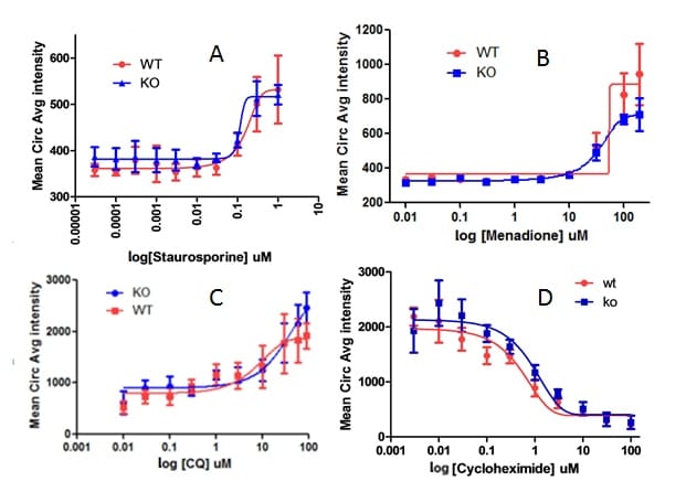 使用 HCS 分析脱靶效应进行 CRISPR 验证 用于检测细胞凋亡、氧化应激、蛋白质降解和蛋白质合成的细胞荧光强度与药物浓度的 4 个剂量反应图。
