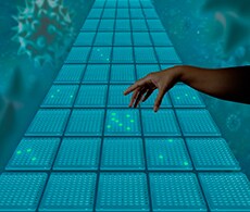 LentiArray Cas9 慢病毒 LentiArray Cas9 慢病毒