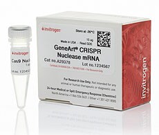 GeneArt™_CRISPR_Nuclease_mRNA 用于多重编辑的高效 CRISPR 基因组编辑工具