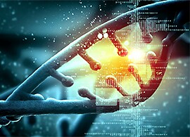 CRISPR validated protocols CRISPR validated protocols