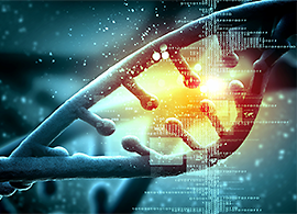 CRISPR validated protocols CRISPR validated protocols