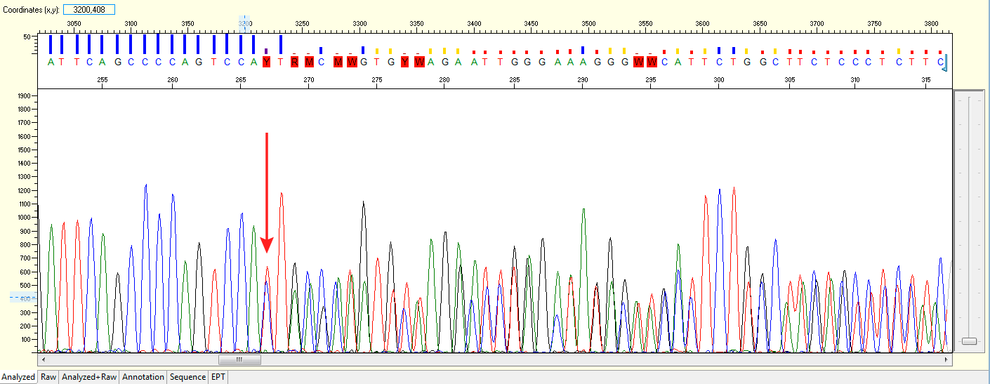 Figure 3. Example CE trace of a mixed clone, containing two different edited sequences Figure 3. Example CE trace of a mixed clone, containing two different edited sequences